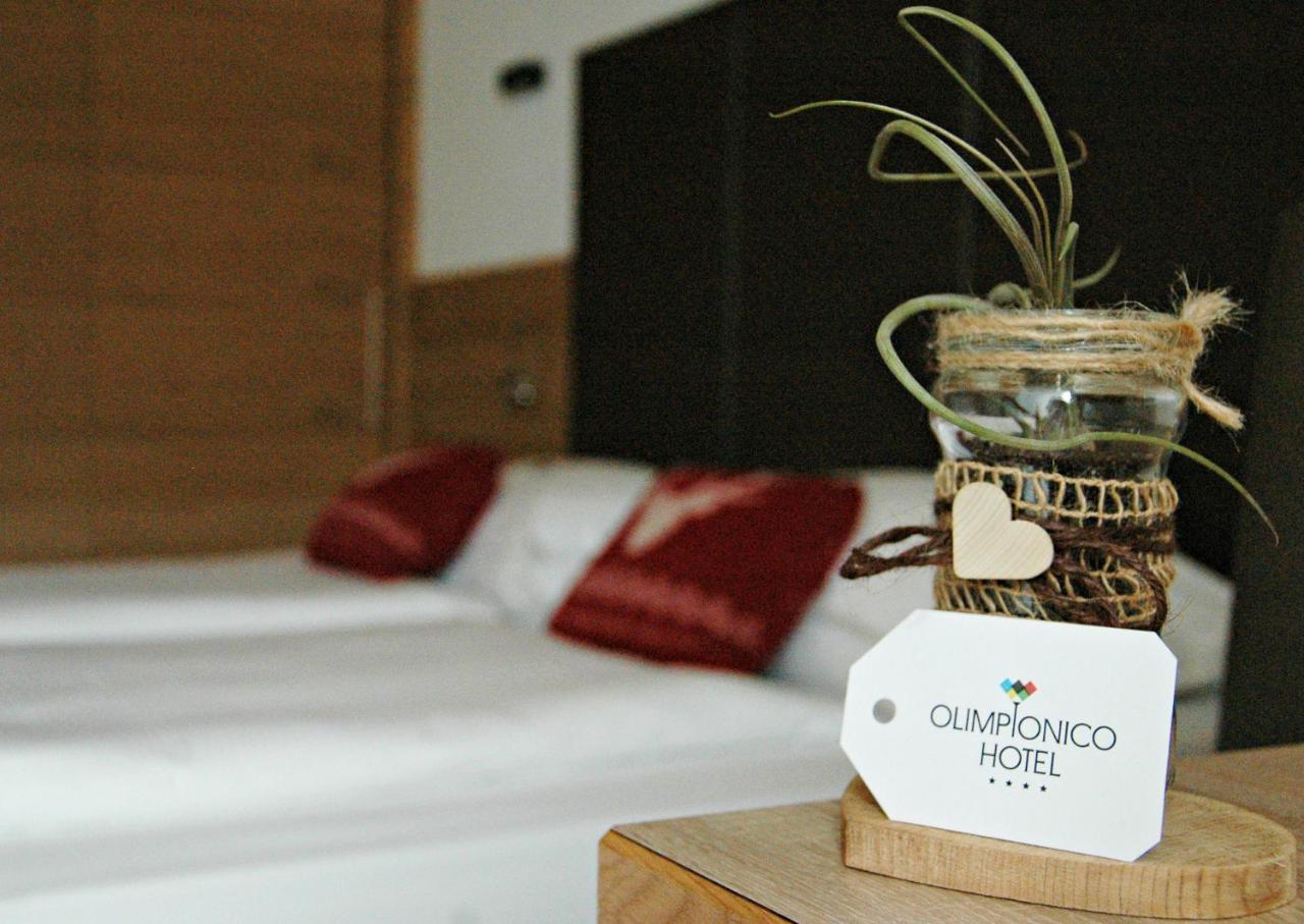 Olimpionico Hotel Castello–Molina di Fiemme Kültér fotó